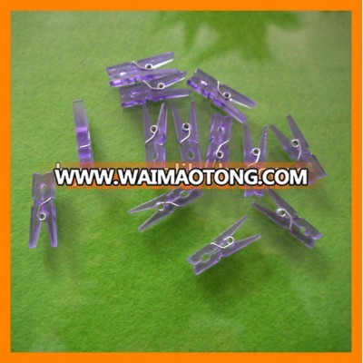 Small Transparent Plastic Peg